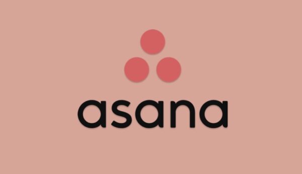 Harnessing Asana CRM Magic: A Journey Through its CRM-Like Powers
